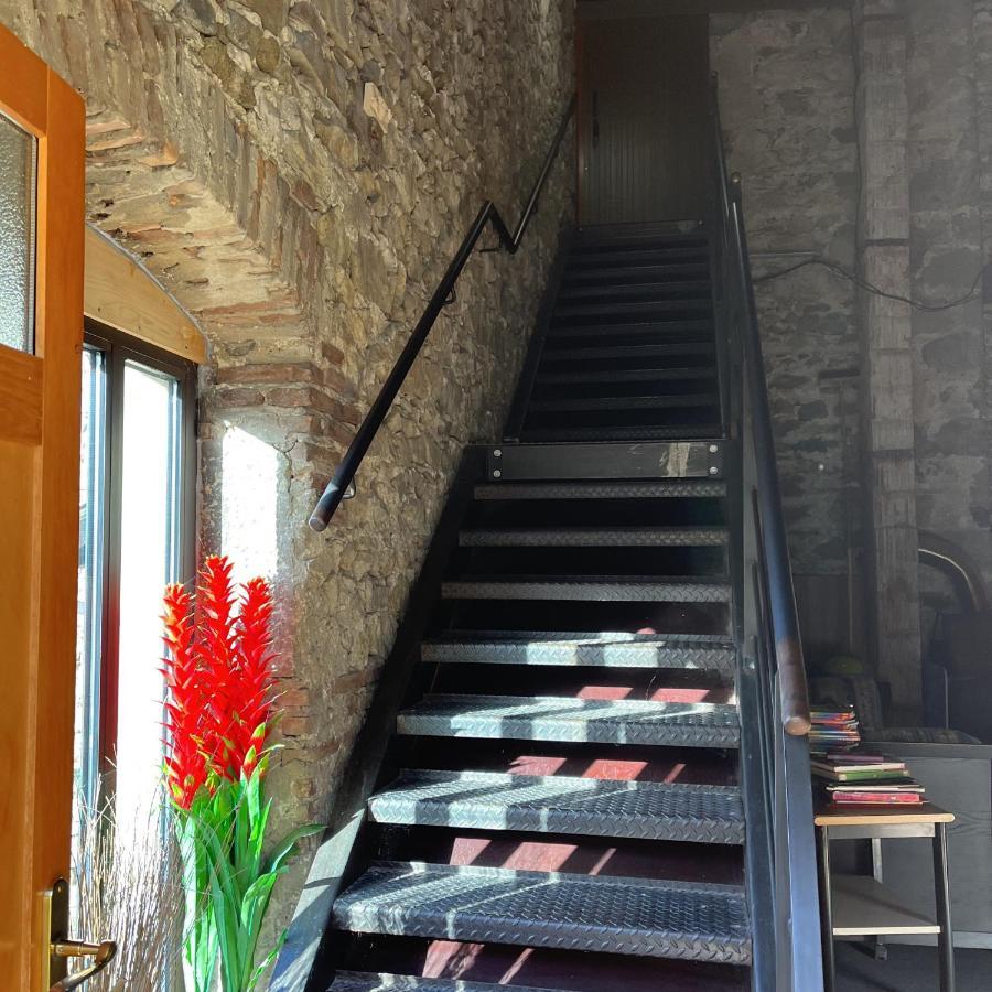 Domaine De Pipangaille Bed and Breakfast Andancette Exteriör bild