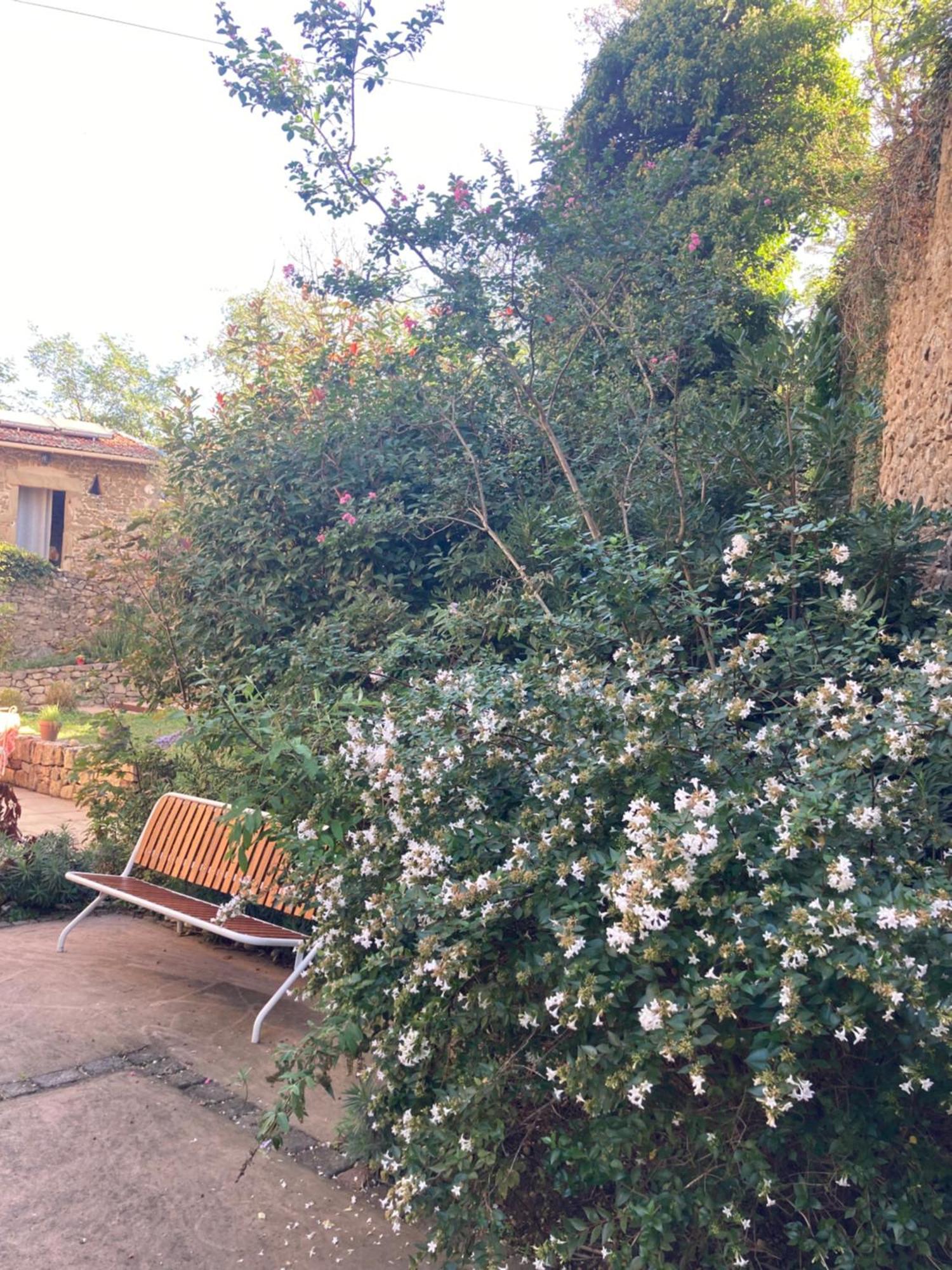 Domaine De Pipangaille Bed and Breakfast Andancette Exteriör bild